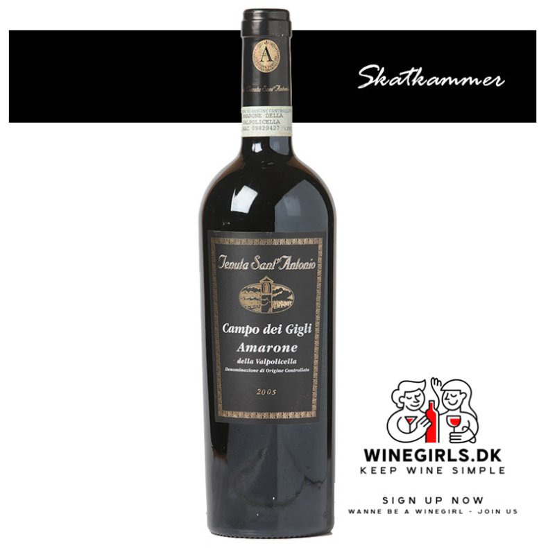 Tenuta Saint Antonio "Campo dei Gigle" Amarone 2005